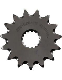 Vorderes Ritzel