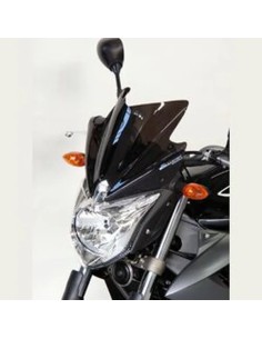 Windschild/Verkleidungsscheibe