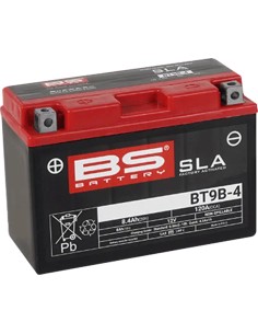 SLA Factory-Activated AGM Wartungsfreie Batterie