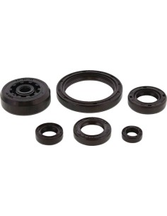 Wellendichtring-Kit