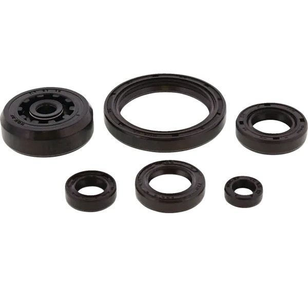 MOOSE OFFROAD Dichtungen & Öldichtungen - ENGINE OIL SEAL KIT