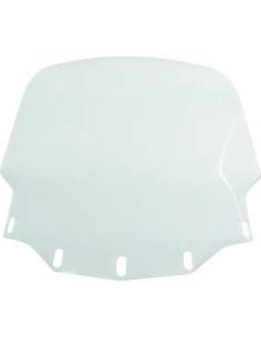 Gold Wing Windschild
