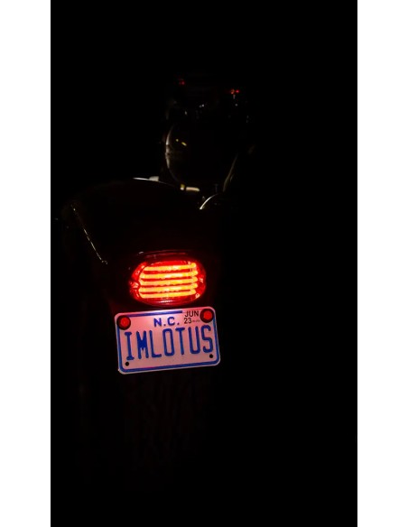 CUSTOM DYNAMICS Rück- und Bremslichter Bild 8