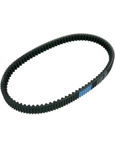 Roller-Getriebeband