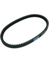 Roller-Getriebeband