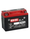 SLA Factory-Activated AGM Wartungsfreie Batterien