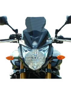 Windschild/Verkleidungsscheibe