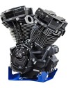 MK136 Black Edition Motor mit 550G Nockenwelle