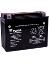 Hochleistungs-AGM-Wartungsfreie Batterie