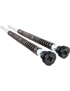 FKS Cartridge Kit