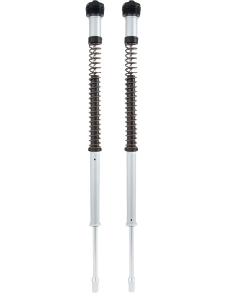 OHLINS Federung vorne für Harley Davidson FLFBS 1868 ABS 2018-2022