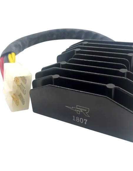 RICK'S MOTORSPORT ELECTRIC Anlasser & Zündung - Detailansicht