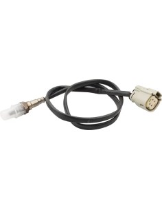 O2-Sensor