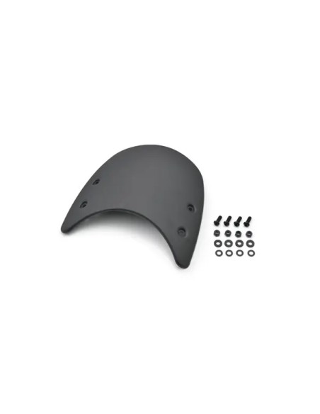 DAYTONA Verkleidung für KAWASAKI W 650 1999-2006