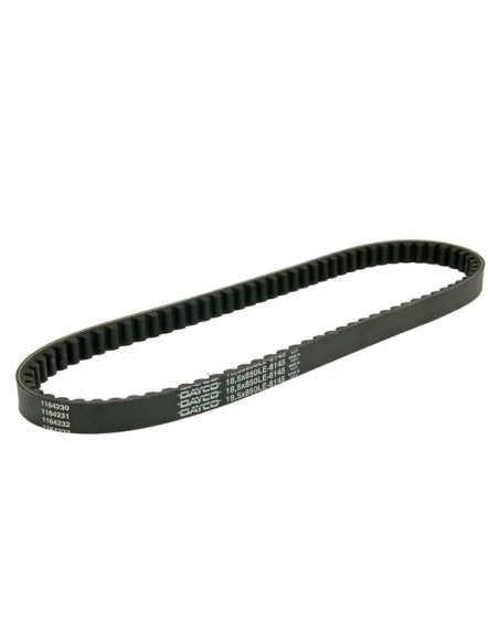 DAYCO PRODUCTS LLC Riemen für DERBI ATLANTIS 100 2001