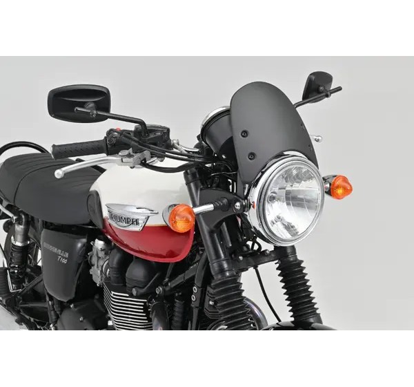 DAYTONA Verkleidung für TRIUMPH BONNEVILLE 1200 T120 ABS ab 2016