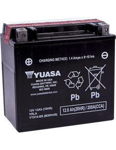 AGM wartungsfreie Batterie