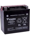 AGM wartungsfreie Batterie