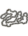 Steuerkette