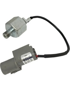 Klopfsensor