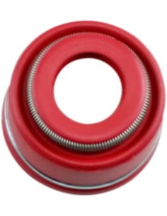 Ventilführungsdichtungen