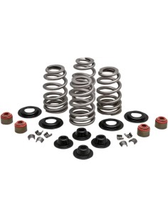 Beehive Valve™ Ventilfeder-Kit