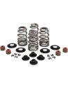 Beehive Valve™ Ventilfeder-Kit