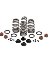 Beehive Valve™ Ventilfeder-Kit