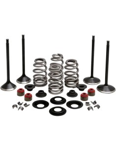 Motorventil-Kit