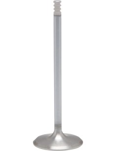 White Diamond® Motorventil