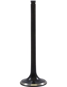 Black Diamond™ Motorventil
