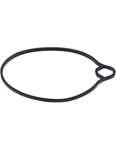 Schwimmerkammer-Dichtung Ersatz