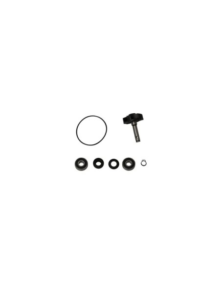 PARTS EUROPE Kühlsysteme für YAMAHA YQ 50 L 1999-2010