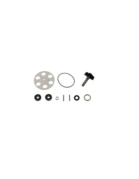 PARTS EUROPE Kühlsysteme für YAMAHA YQ 50 L 1999-2010