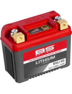 Lithium LiFePO4 Batterie