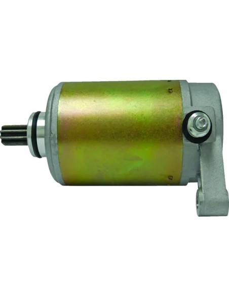 PARTS EUROPE Anlasser & Zündung für YAMAHA YFM 350 R 2005-2012