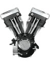 ENGINE V80 EVO LNG BLK