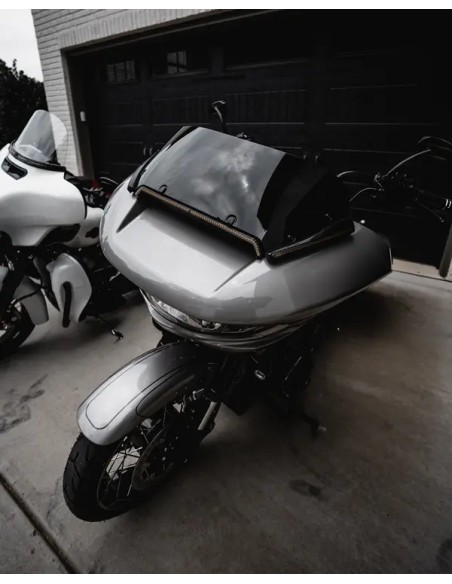 CUSTOM DYNAMICS Blinker Bild 5