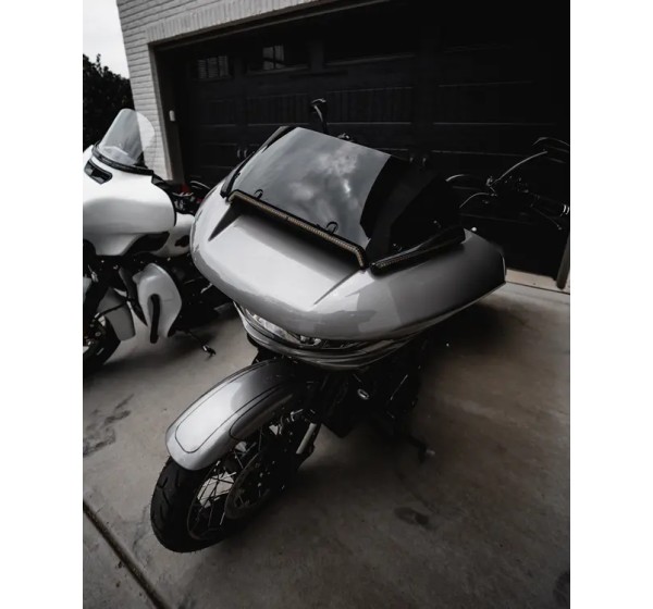 CUSTOM DYNAMICS Blinker Bild 5