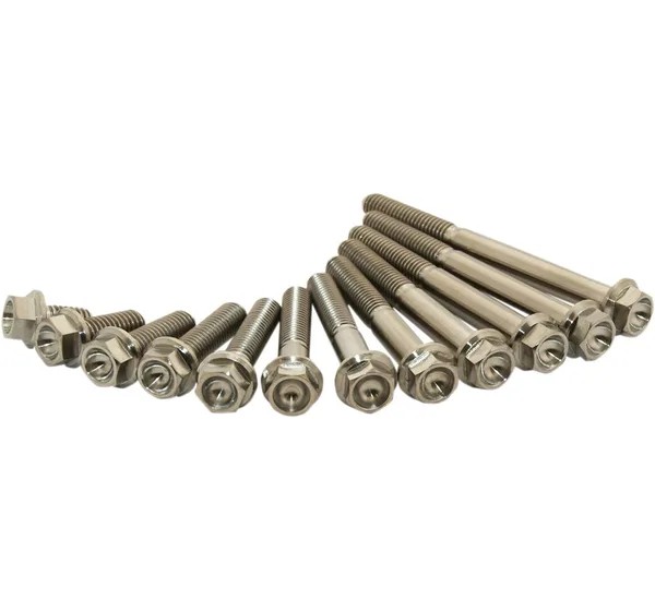 SCAR RACING Zylinderköpfe & Komponenten - TITANIUM BOLT M6X10 PACK OF 2
