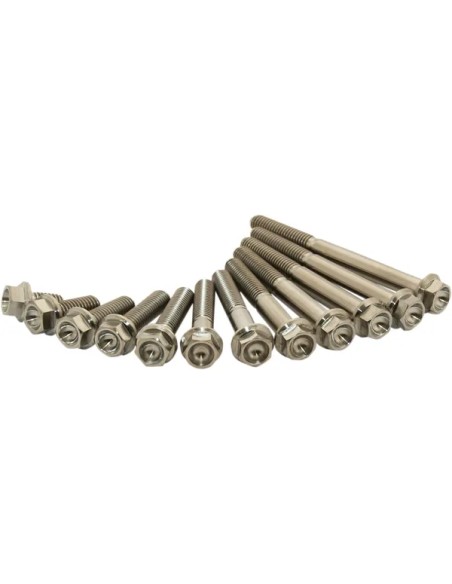 SCAR RACING Zylinderköpfe & Komponenten - TITANIUM BOLT M6X20 PACK OF 2