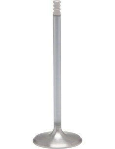 White Diamond® Motorventil
