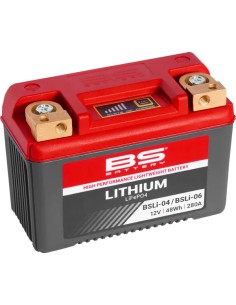 Lithium LiFePO4 Batterie