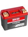Lithium LiFePO4 Batterie