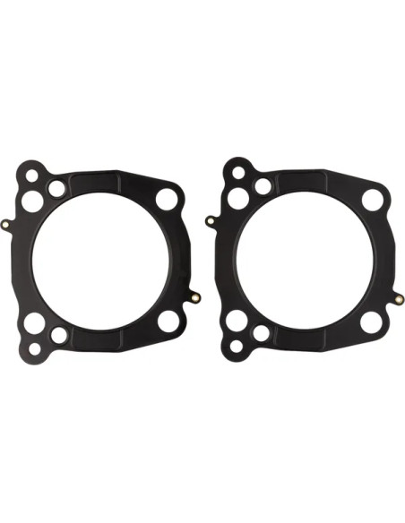 COMETIC Dichtungen & Öldichtungen für Harley Davidson FLTRXSE 1977 ABS 2023-2025