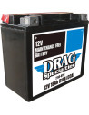 Wartungsfreie Batterie