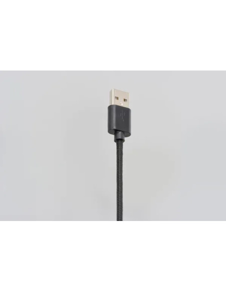 DAYTONA Kabel & Schalter - Detailansicht