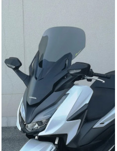 Windschild
