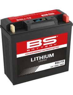 Lithium LiFePO4 Batterie