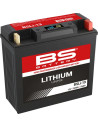 Lithium LiFePO4 Batterie